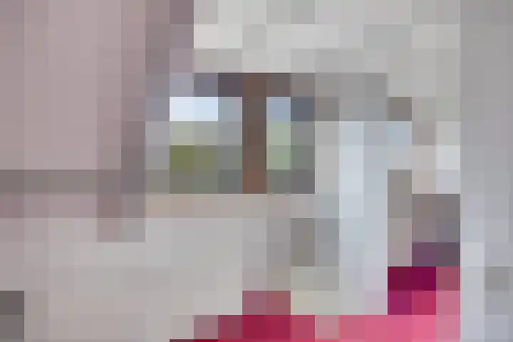 Huijgensstraat 15 Terheijden thumbnail 28