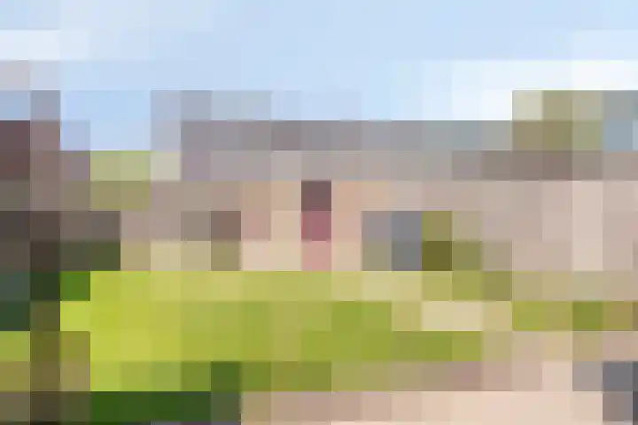 Huijgensstraat 16 Terneuzen thumbnail 26
