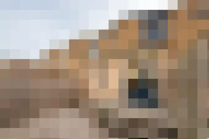 Huijgensstraat 19 Hoogerheide thumbnail 31