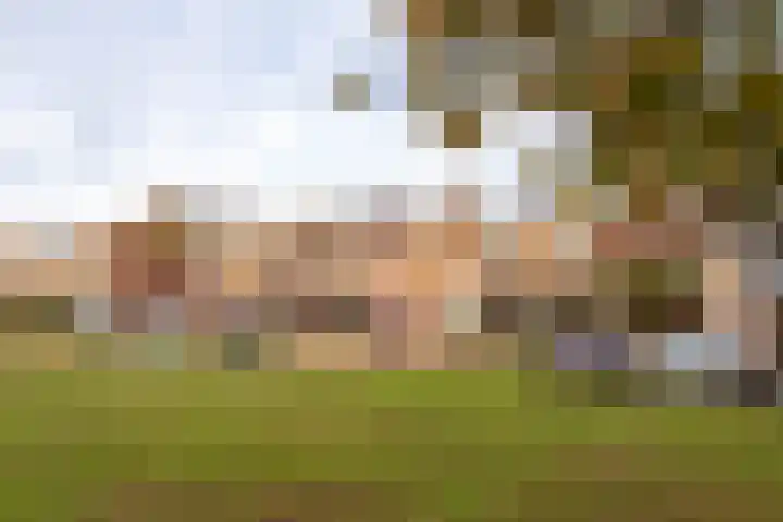 Huijgensstraat 19 Hoogerheide thumbnail 38