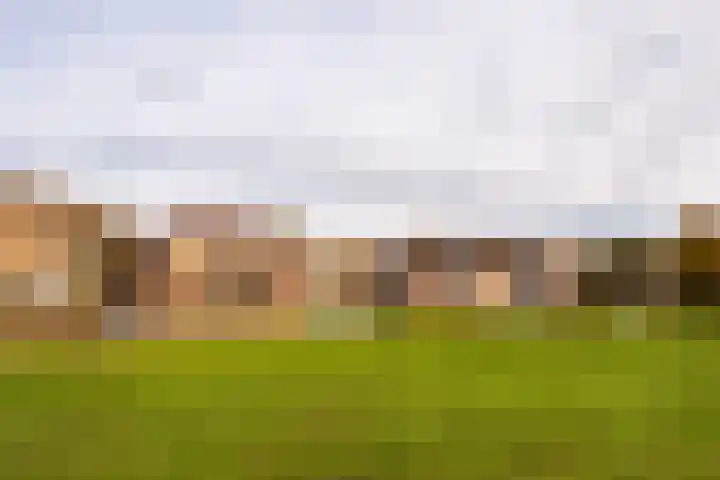 Huijgensstraat 19 Hoogerheide thumbnail 39
