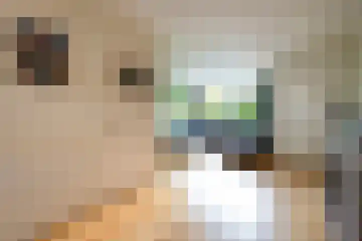 Huijgensstraat 19 Hoogerheide thumbnail 4