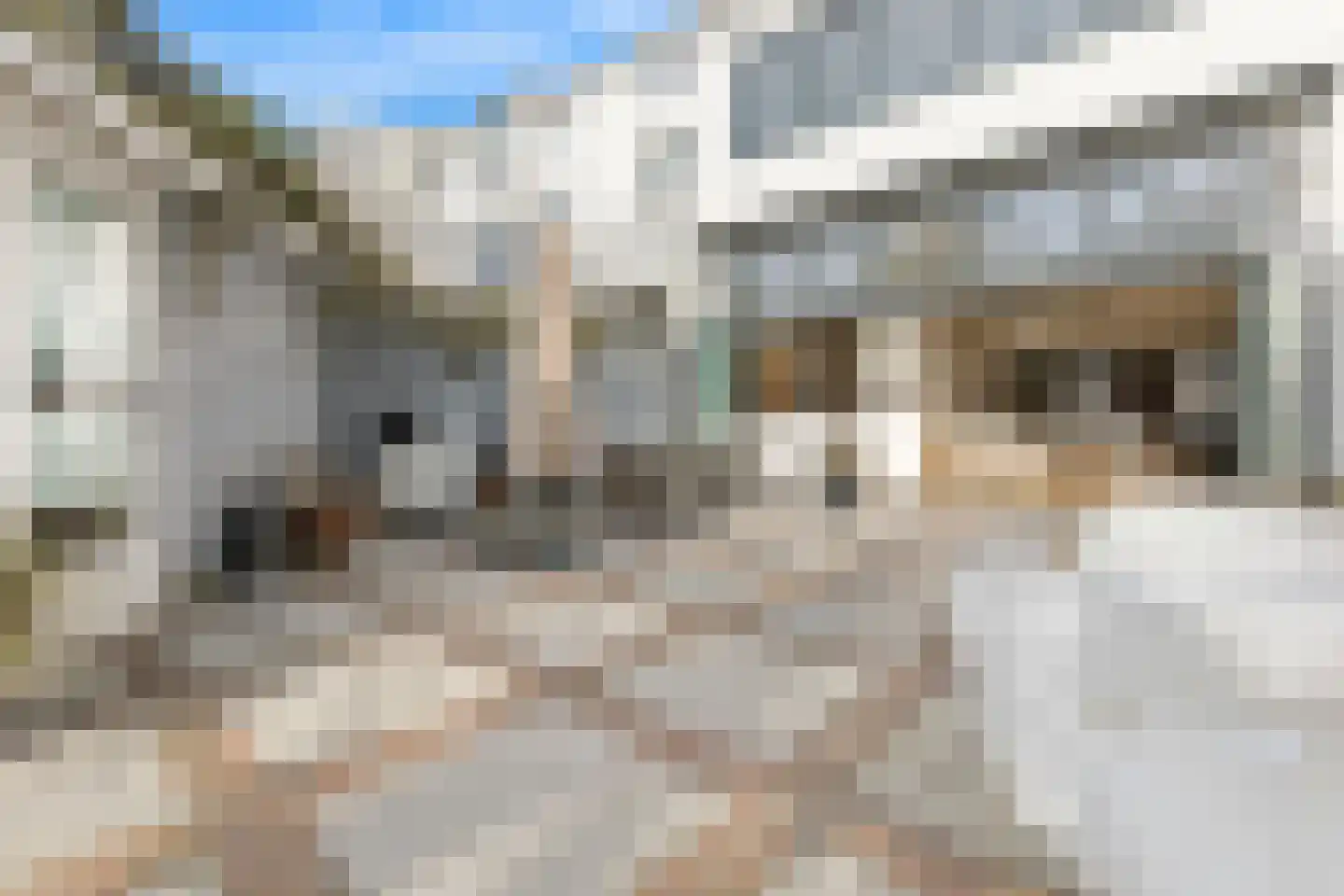 Huijgensstraat 4 Den Haag thumbnail 37