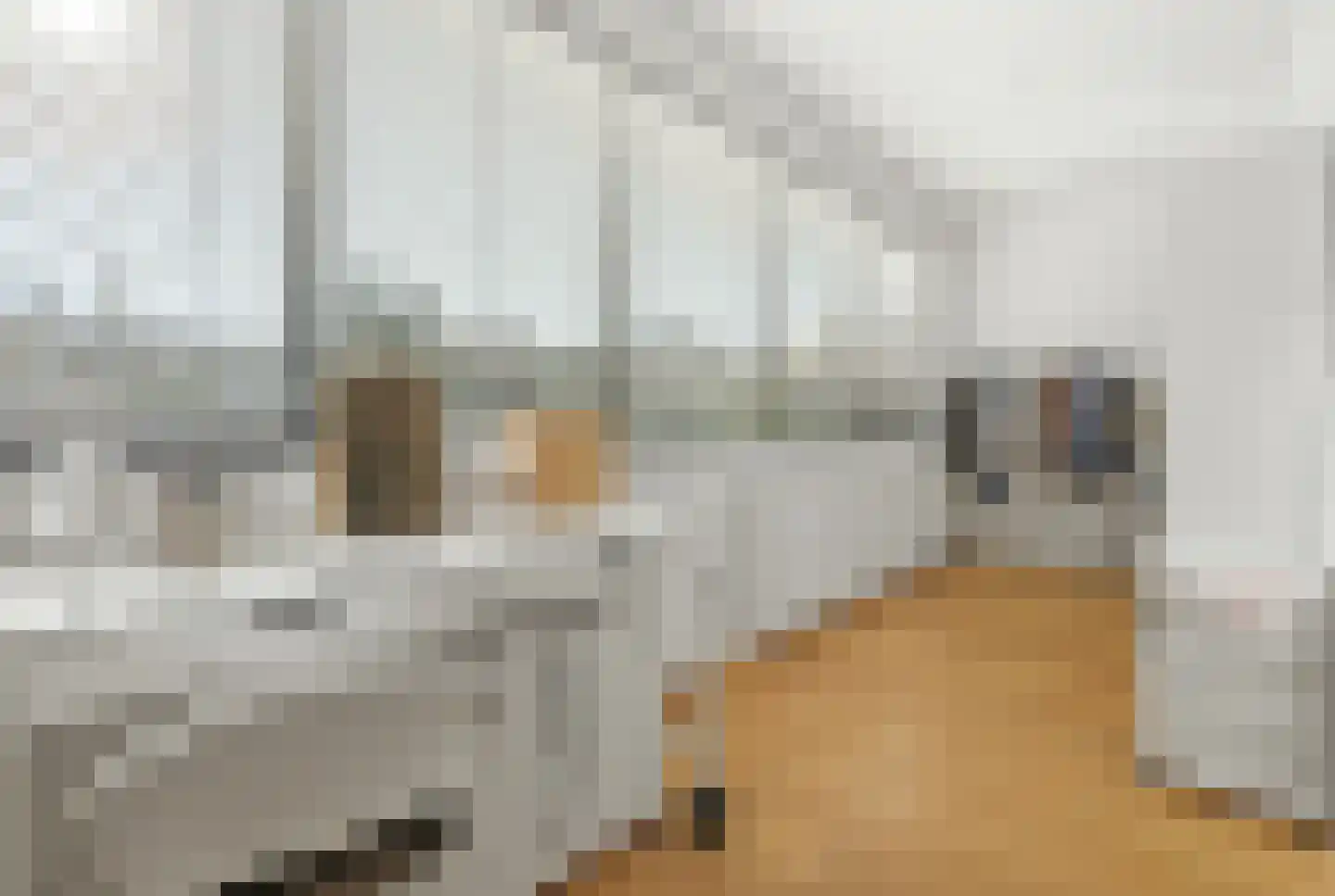 Huijgensstraat 4 Den Haag thumbnail 55
