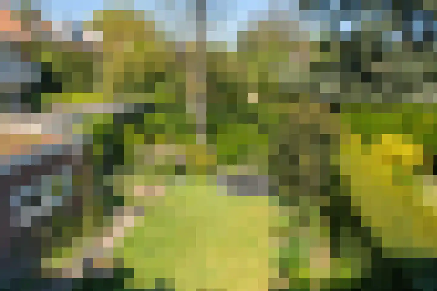 Huijghenslaan 3 Arnhem thumbnail 48