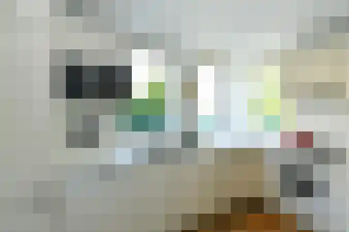 Huijghenslaan 5 Arnhem thumbnail 19