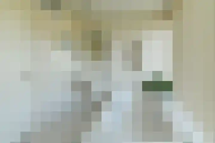Huijghenslaan 5 Arnhem thumbnail 26