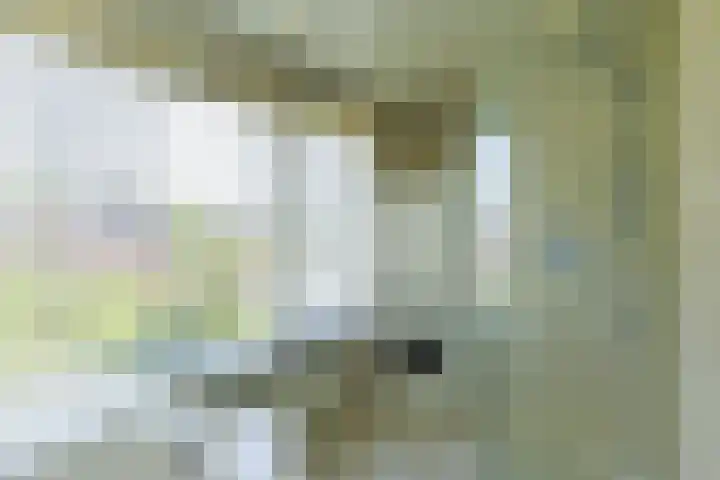 Huijghenslaan 5 Arnhem thumbnail 27