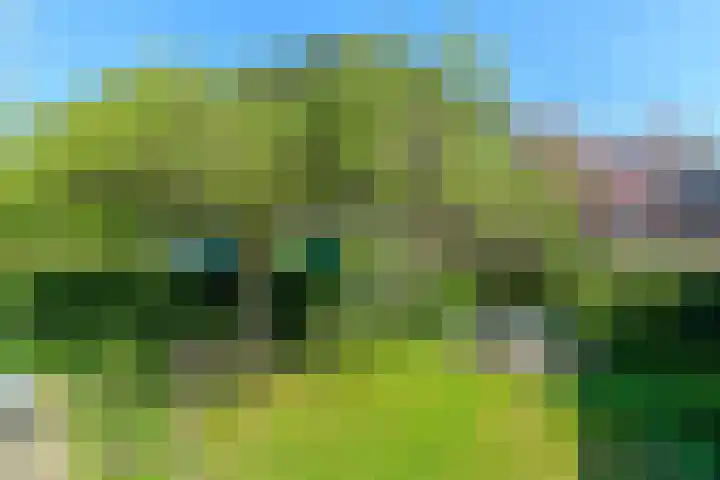 Huijghenslaan 5 Arnhem thumbnail 36