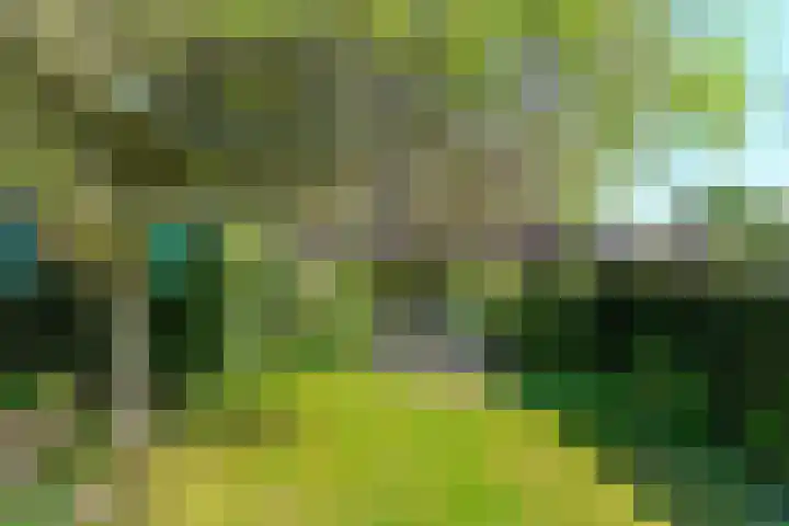 Huijghenslaan 5 Arnhem thumbnail 37