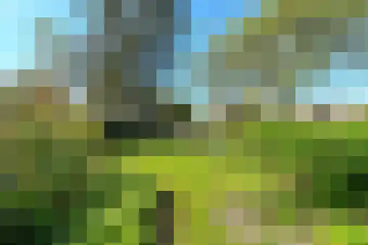 Huijghenslaan 5 Arnhem thumbnail 7