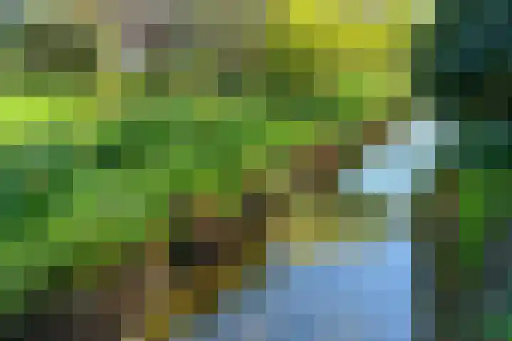 Huijghenslaan 5 Arnhem thumbnail 8