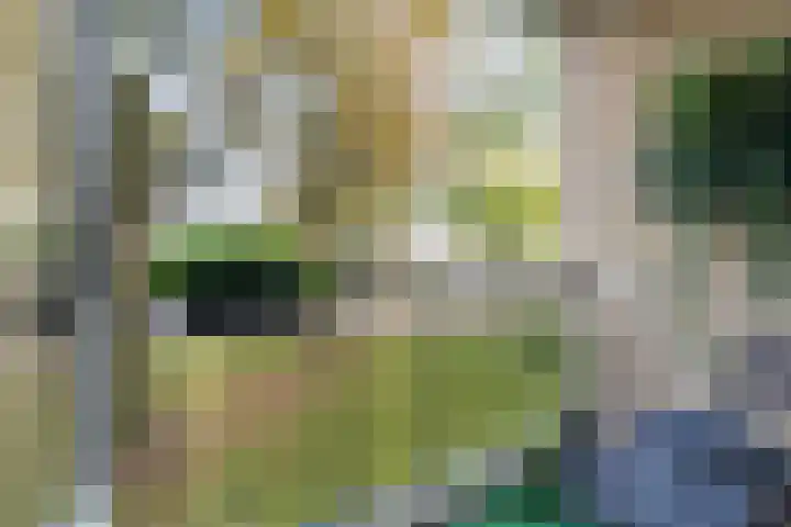 Huijsmansstraat 2 Tilburg thumbnail 19