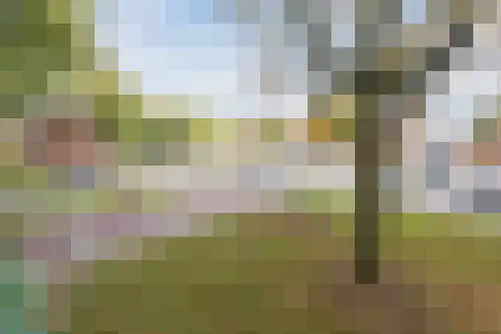 Huijsmansstraat 2 Tilburg thumbnail 21