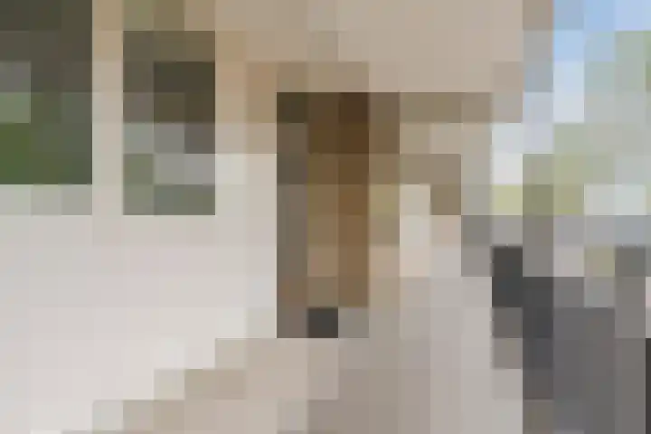 Huijsmansstraat 2 Tilburg thumbnail 23