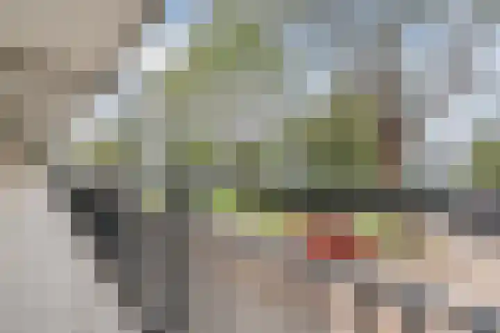 Huijsmansstraat 2 Tilburg thumbnail 24