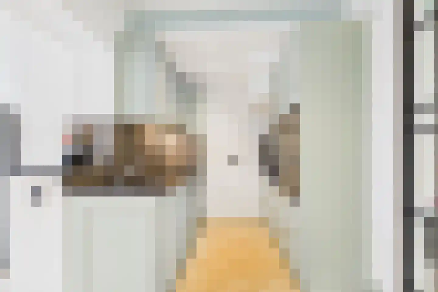 Huijssenstraat 2 Zaamslag thumbnail 11