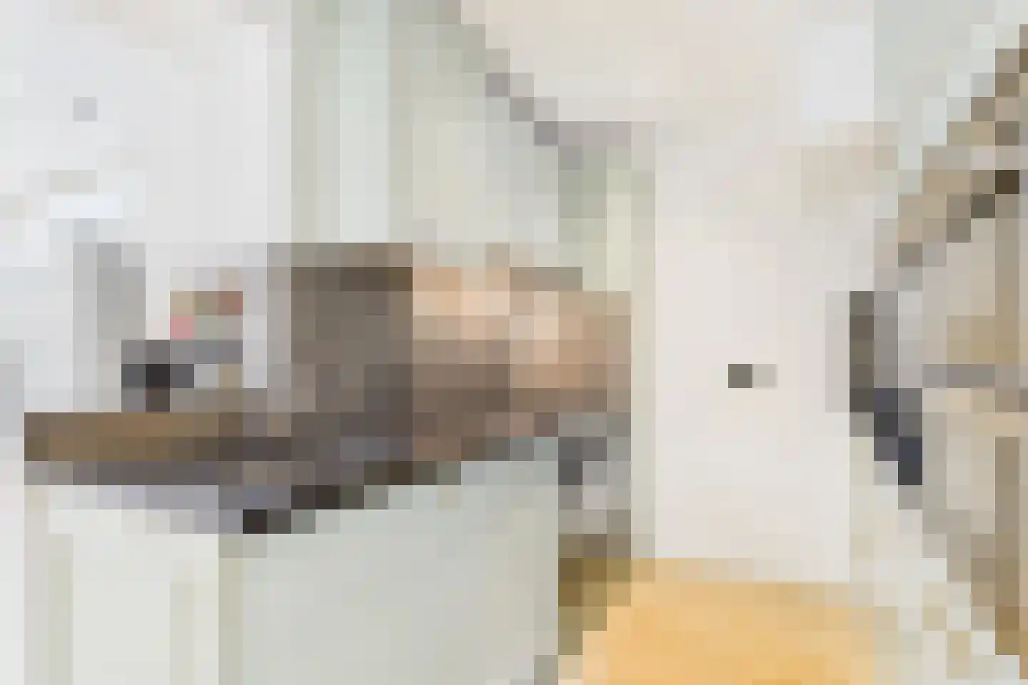 Huijssenstraat 2 Zaamslag thumbnail 12
