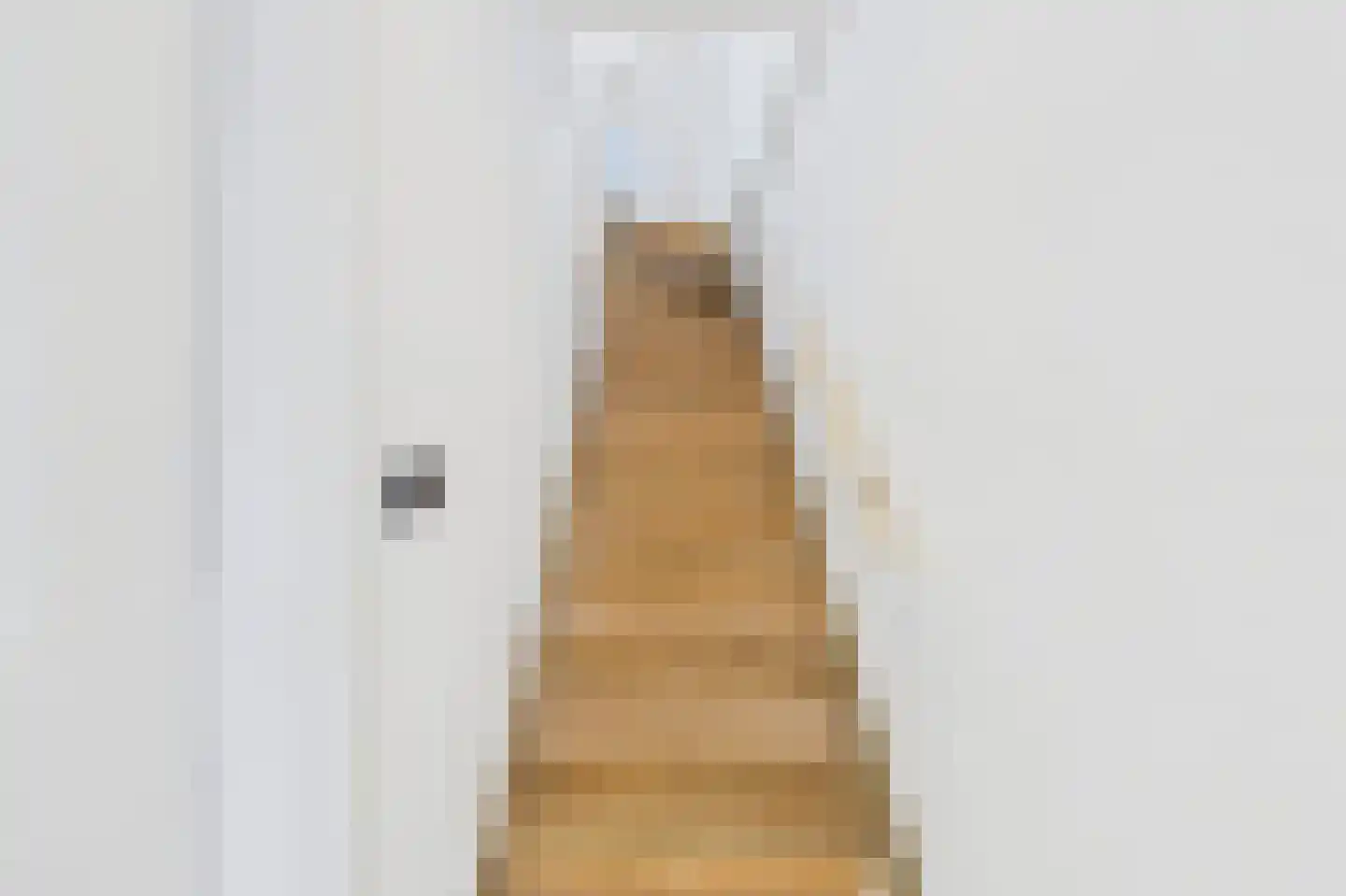 Huijssenstraat 2 Zaamslag thumbnail 21