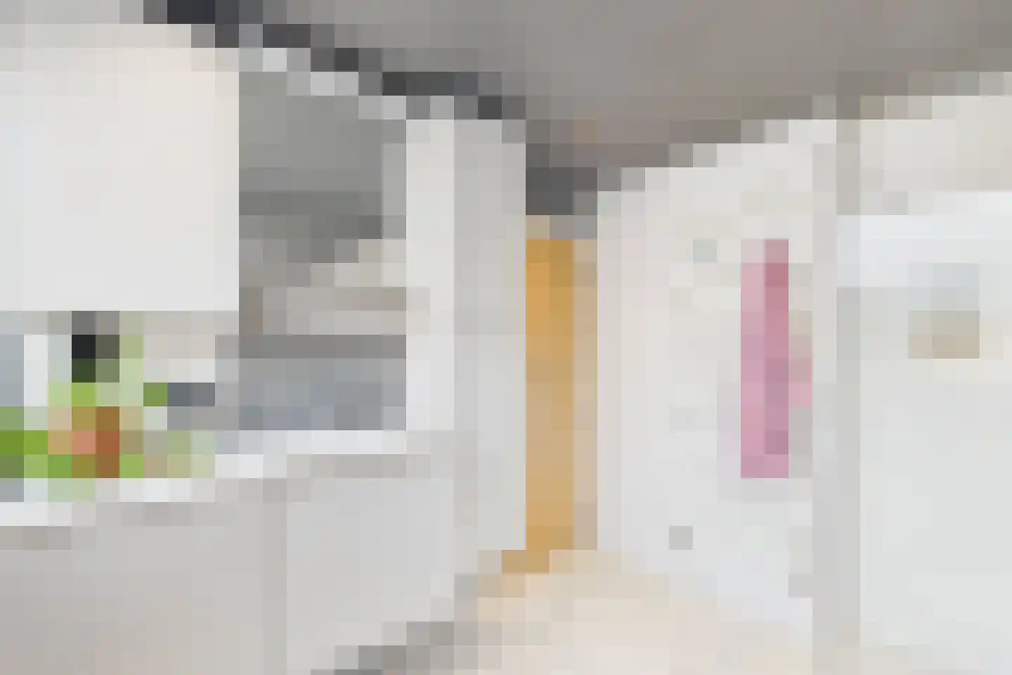 Huijssenstraat 2 Zaamslag thumbnail 22
