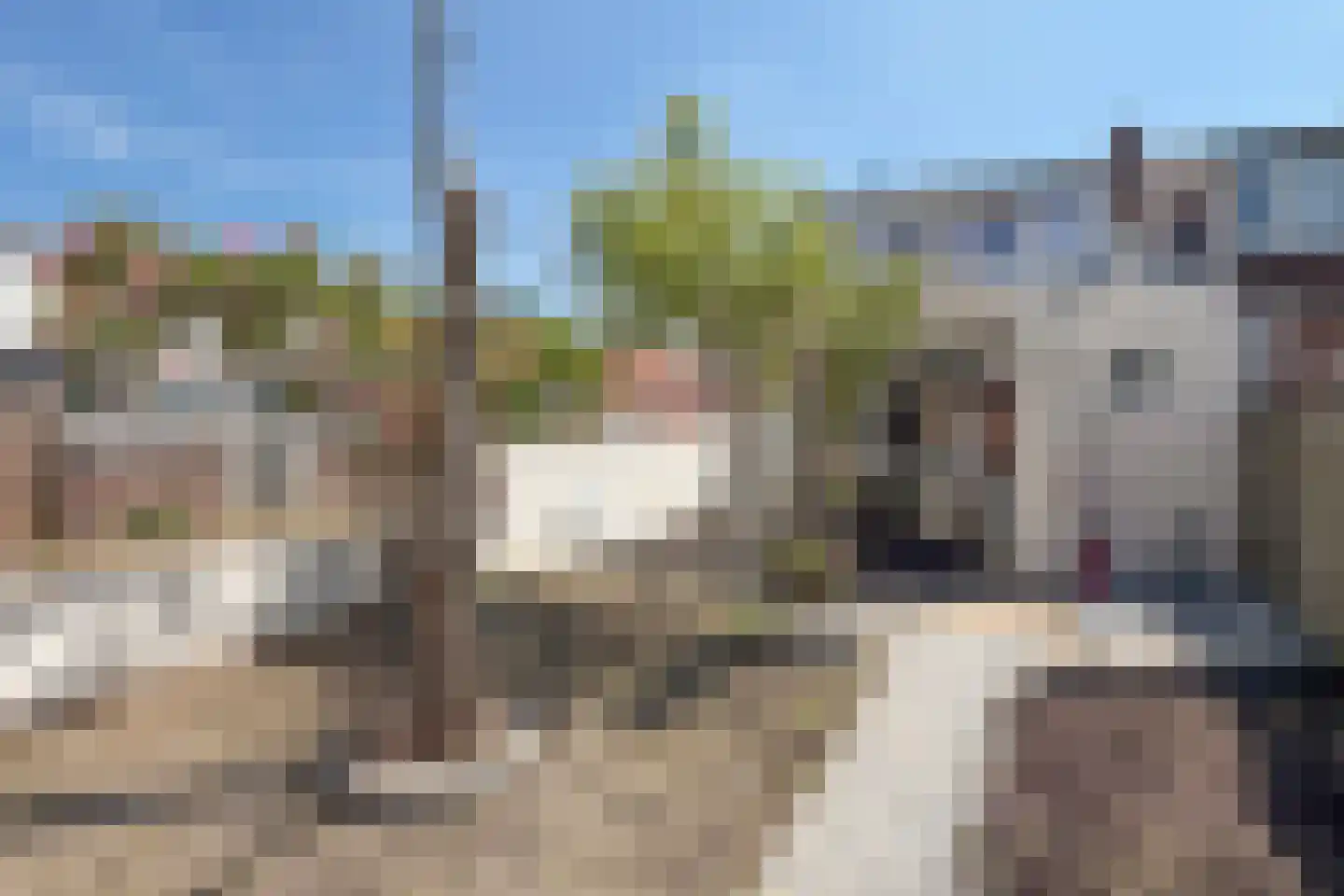 Huijssenstraat 2 Zaamslag thumbnail 29