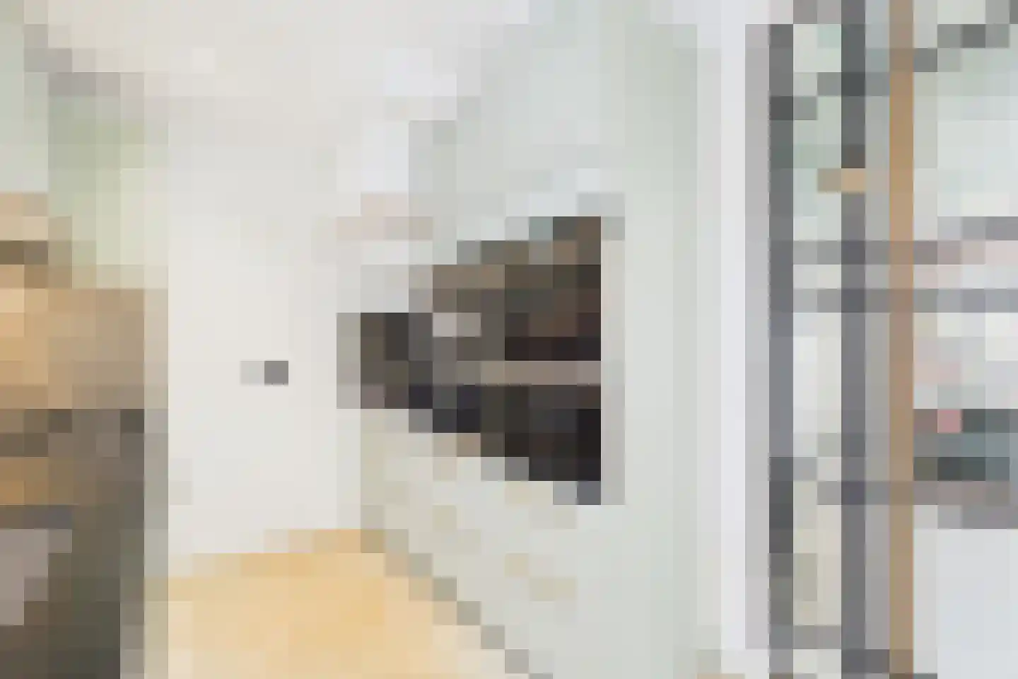 Huijssenstraat 2 Zaamslag thumbnail 4