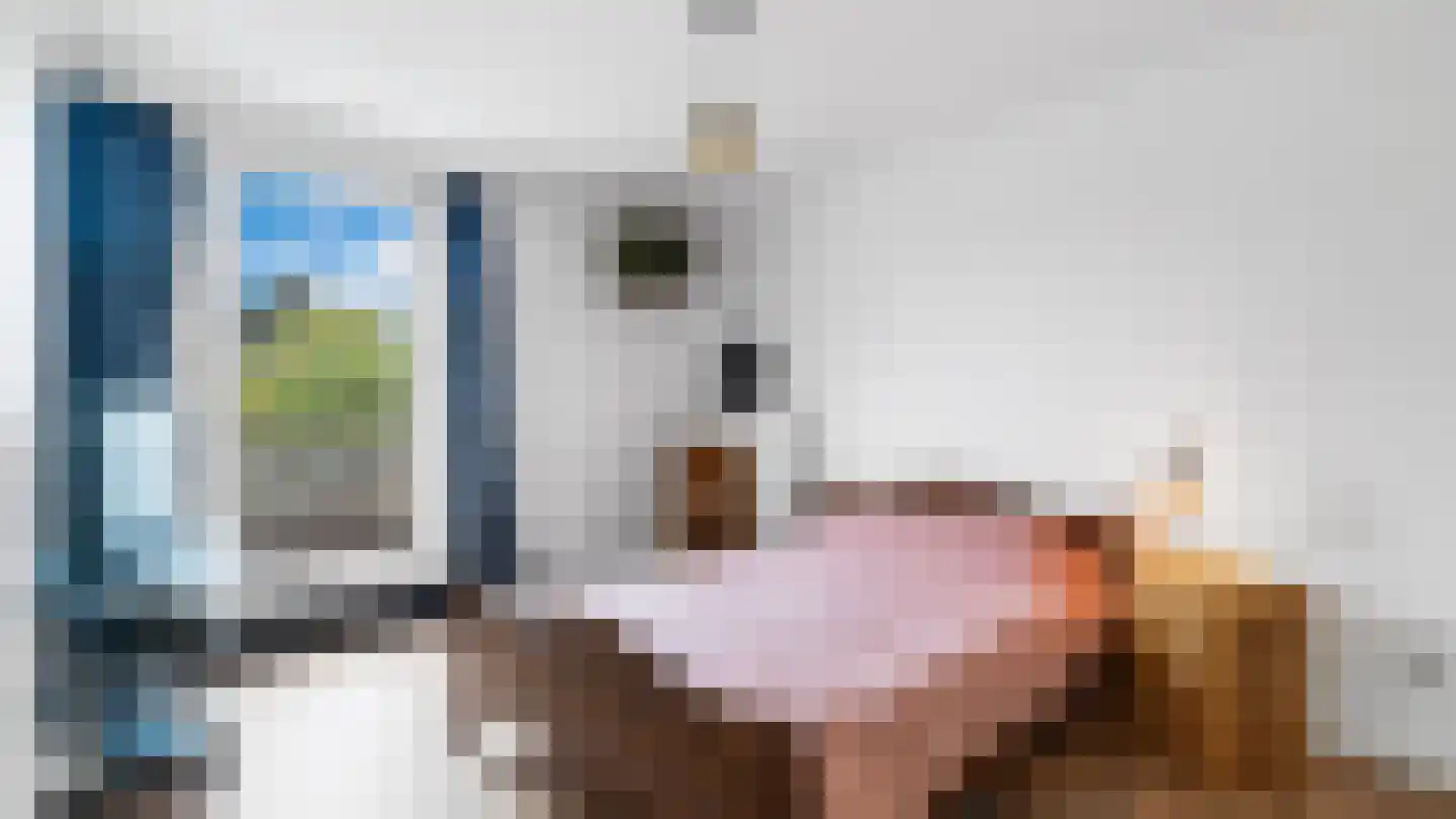 Huikenstraat 142 Neeritter thumbnail 12