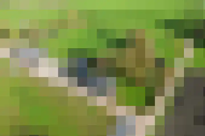 Huinerbroekweg 1 Putten thumbnail 22