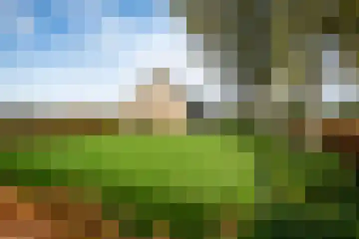 Huinerbroekweg 1 Putten thumbnail 23