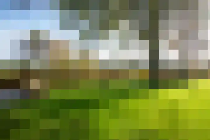 Huinerbroekweg 1 Putten thumbnail 24