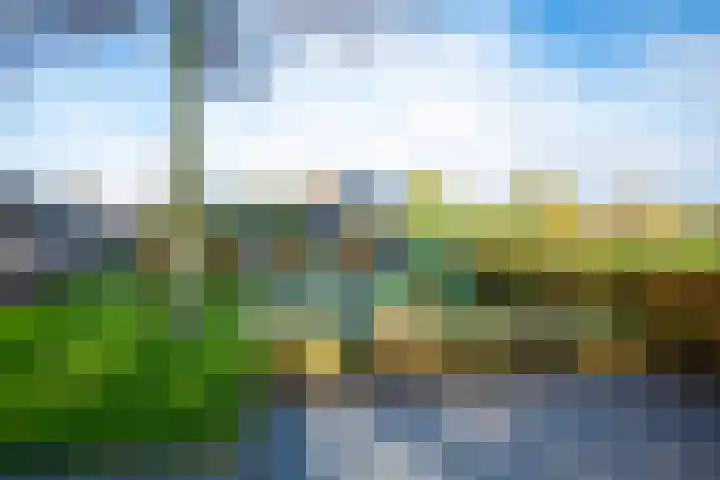 Huinerbroekweg 1 Putten thumbnail 25