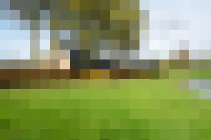 Huinerbroekweg 1 Putten thumbnail 29