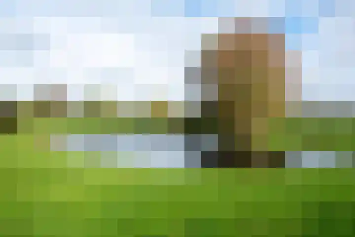 Huinerbroekweg 1 Putten thumbnail 31