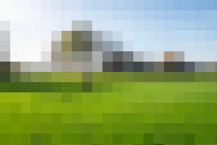 Huinerbroekweg 1 Putten thumbnail 32
