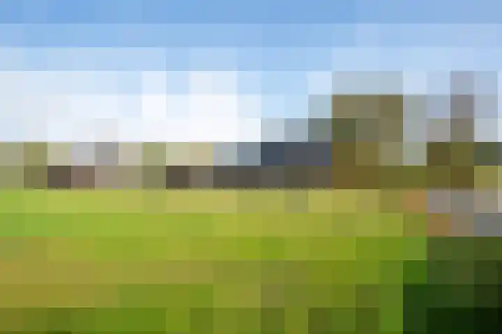 Huinerbroekweg 1 Putten thumbnail 33
