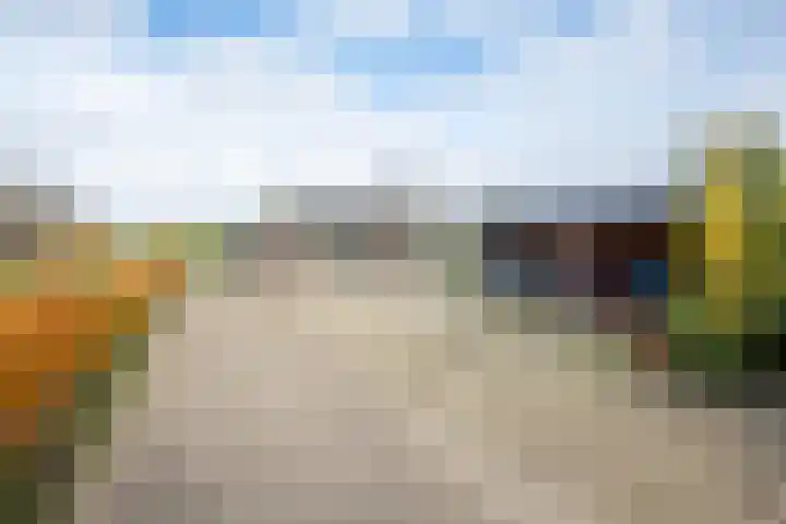 Huinerbroekweg 1 Putten thumbnail 35