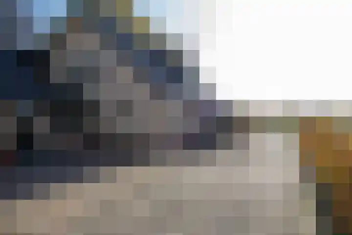 Huinerbroekweg 1 Putten thumbnail 36