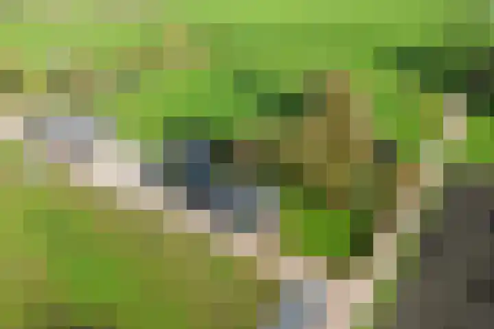 Huinerbroekweg 1 Putten thumbnail 37