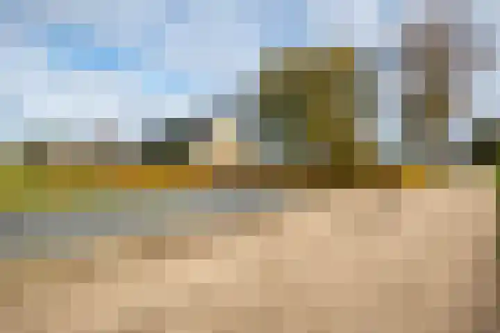 Huinerbroekweg 1 Putten thumbnail 4