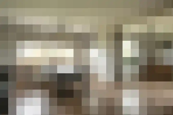 Huinerbroekweg 1 Putten thumbnail 8