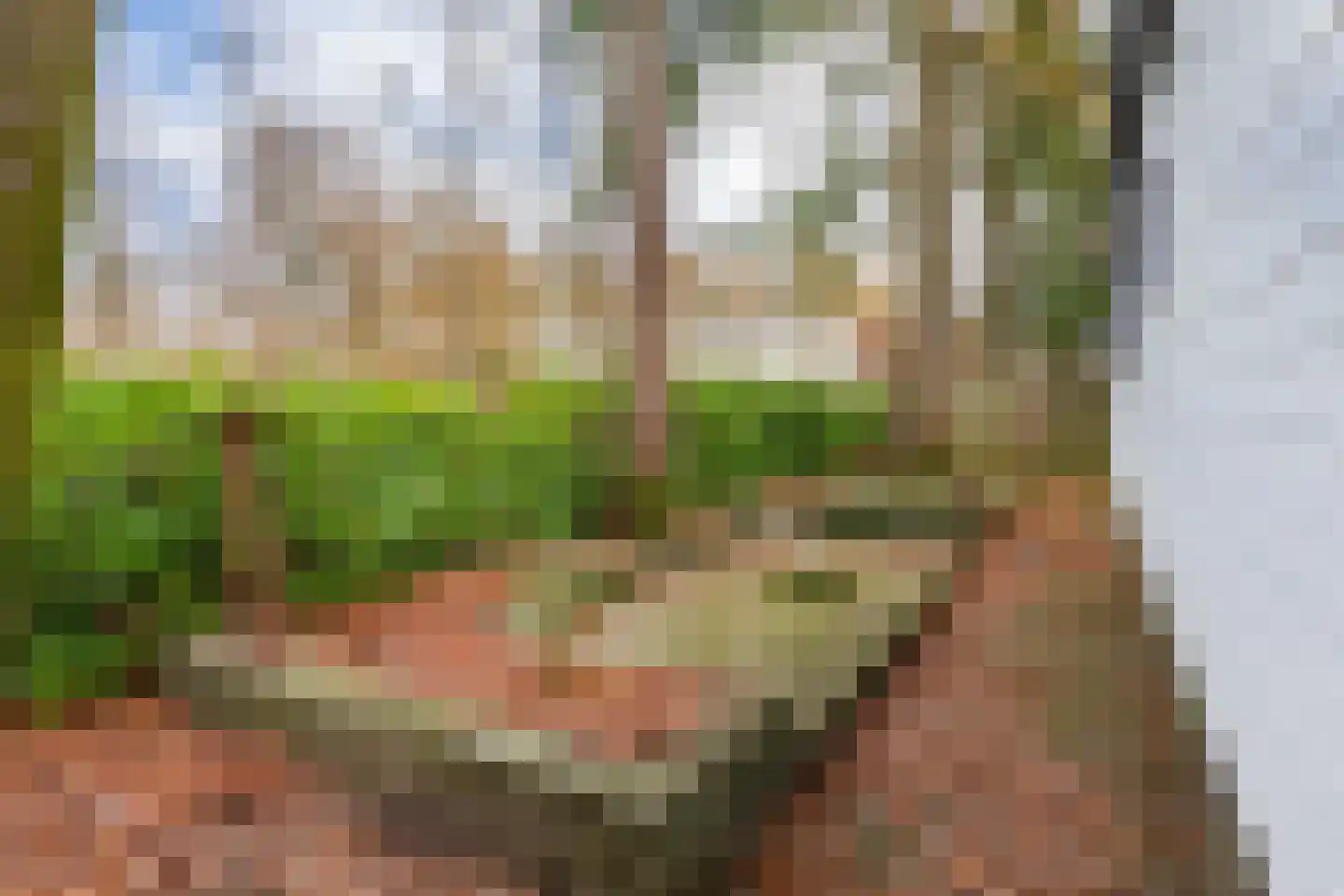 Huinerenkweg 5 26 Putten thumbnail 6