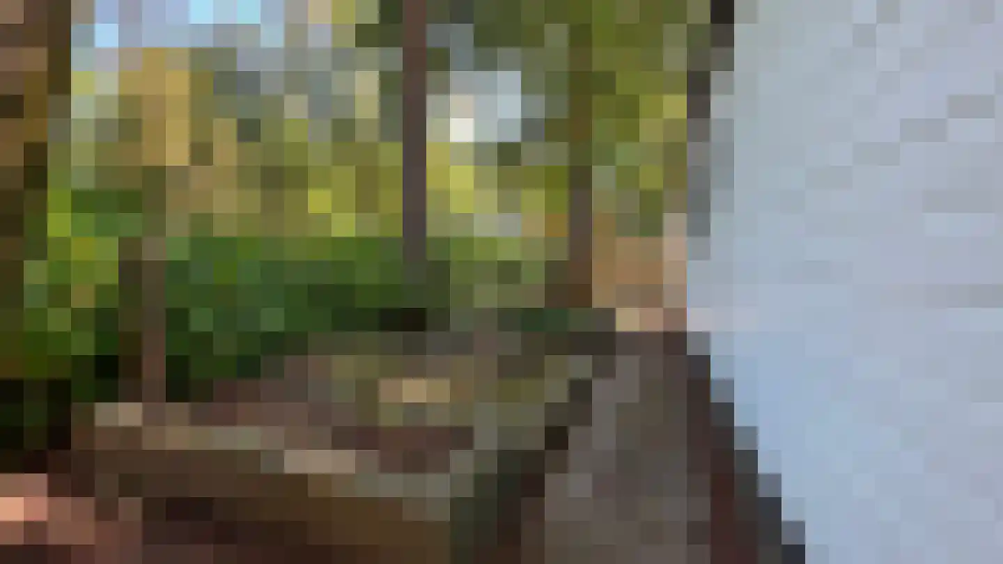Huinerenkweg 5 26 Putten thumbnail 7