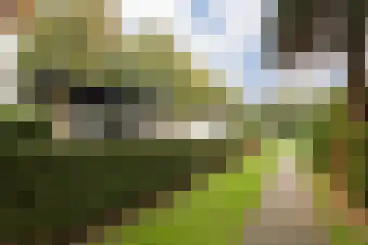 Huinerenkweg 5 47 Putten thumbnail 22