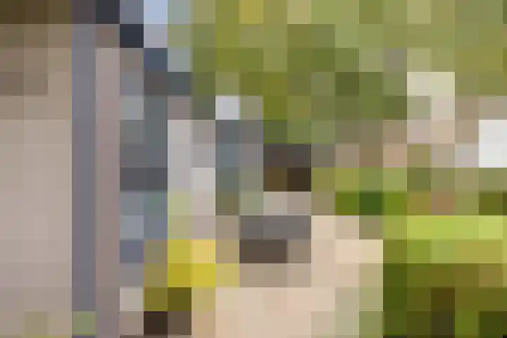 Huinerenkweg 5 47 Putten thumbnail 4