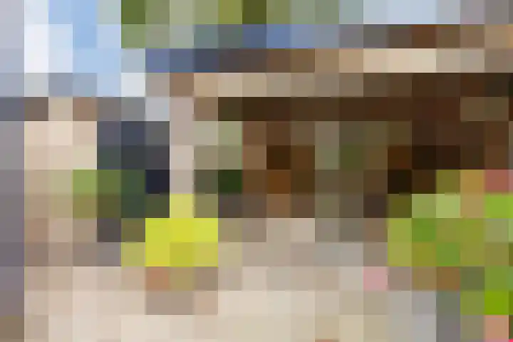 Huinerenkweg 5 47 Putten thumbnail 5