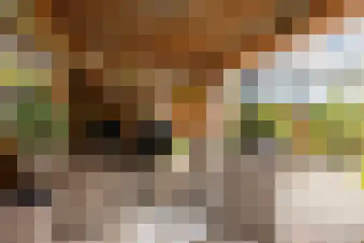 Huinerenkweg 5 47 Putten thumbnail 6