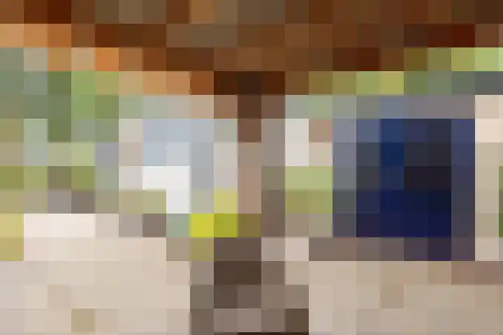 Huinerenkweg 5 47 Putten thumbnail 7