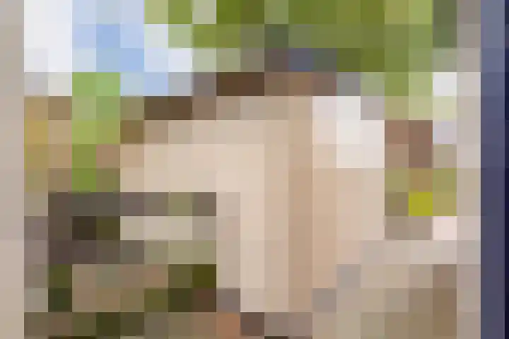Huinerenkweg 5 47 Putten thumbnail 8
