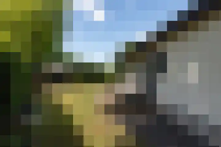 Huinerenkweg 5 8 Putten thumbnail 11