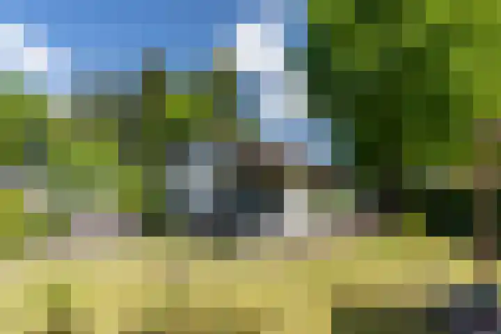 Huinerenkweg 5 8 Putten thumbnail 25